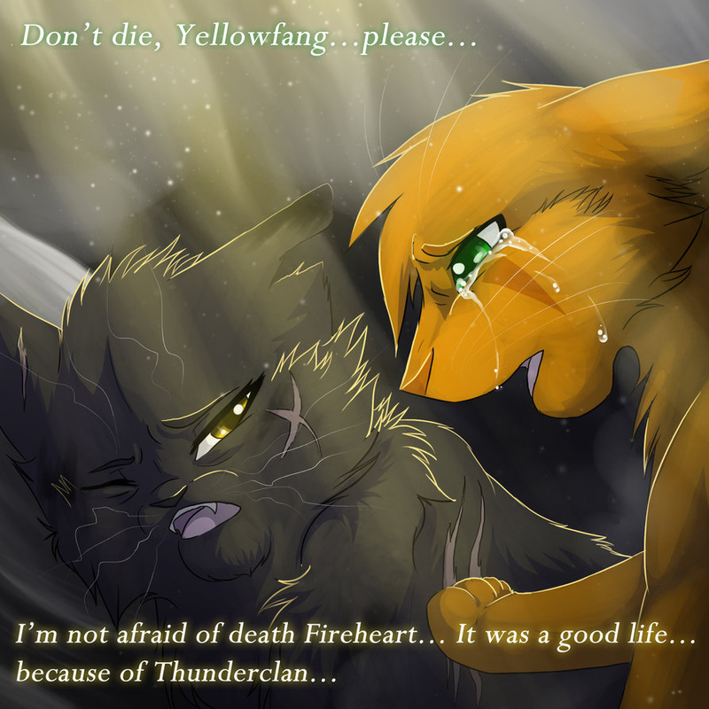 Yellowfang according to the warrior cats wiki [#7] by